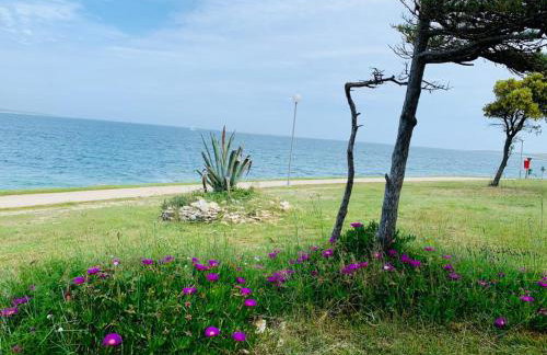 Apartment Alexandra - Foto 34