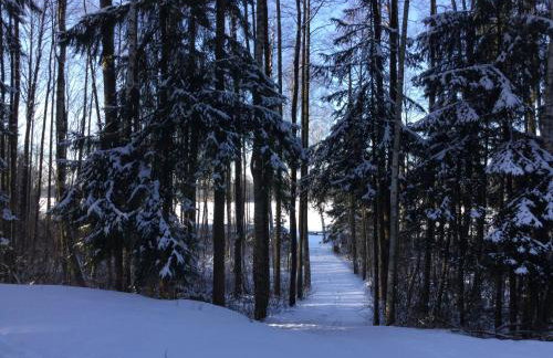 Dom Suwalszczyzna - Photo 4