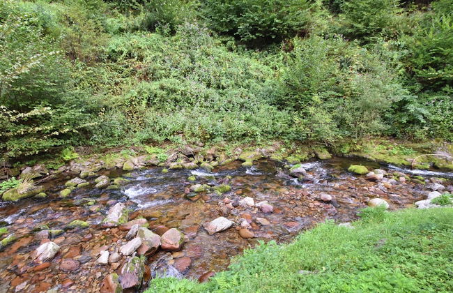 Holiday Home Near the Forest in Oppenau - Foto 21