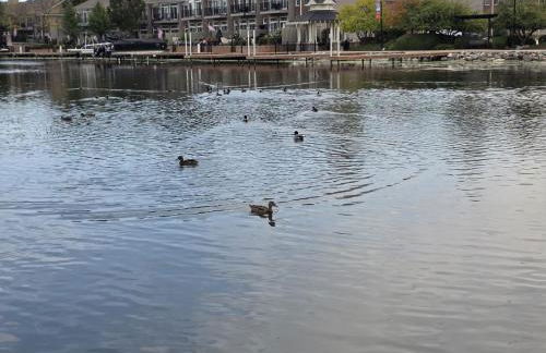 3BR 2BTH Waterfront Vacation Rental on Riverwalk to Downtown McHenry with Pier - Foto 2