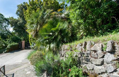 Villalbert - Foto 36