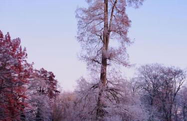 Design-Appartement im Zentrum - Foto 27