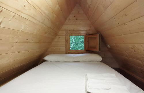 Camping Las Nogueras de Nerpio - Foto 48