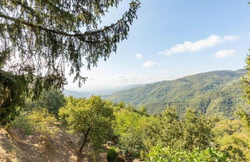 Awesome Home In Villa Di Piteccio - Foto 11