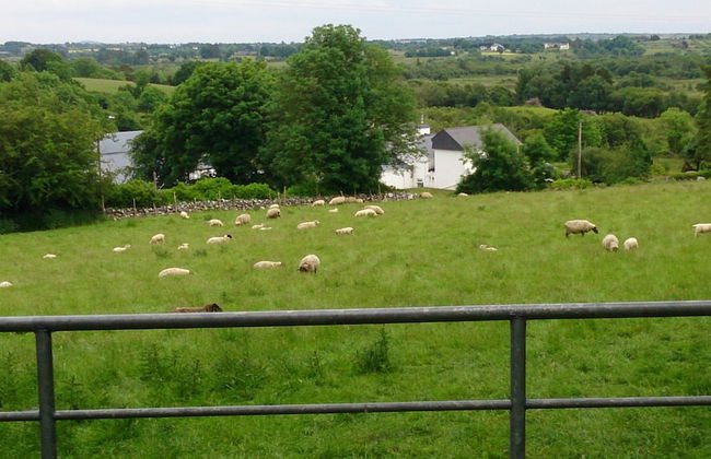 Villa Pio Luxury Apartment 3km From Historic Cong, Ashford Castle, Ashford Lodge - Foto 10