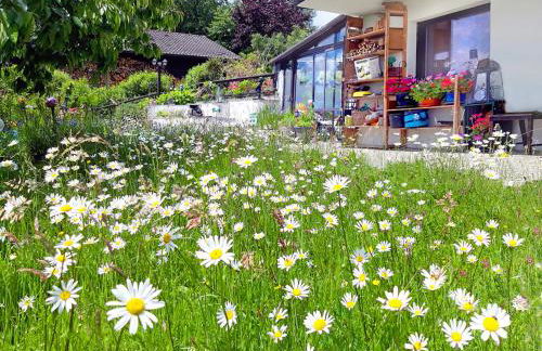 BayerischerWald-Ferien-Blockhaus-Panoramablick-Grafenau Haus im Wald-Vogelthenne 19, fast Alleinlage-ILZtal-Blick nähe Rothauer, Saldenburger, Ebenreuther und Eginger See im Dreiburgenland, unweit der Dreiflüße-Stadt PASSAU an der Donau Inn und ILZ - Foto 30