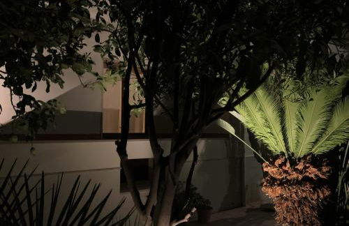 Tap Apartments - in Independent House with Private Garden - Photo 42