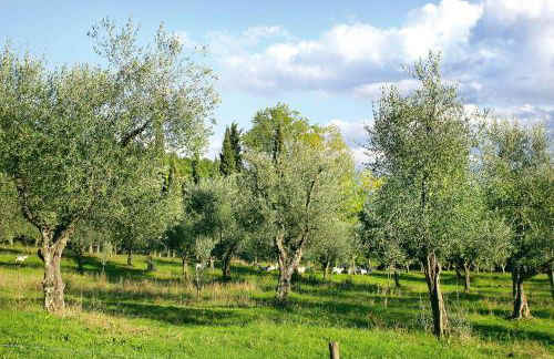 Tenuta La Bandita - Foto 123