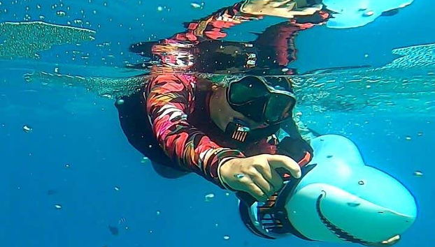 Exploring the sea bed