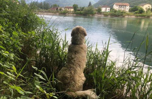 Giuditta FreeCarPark&Garden - Photo 75