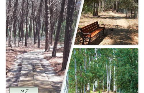 Sunshine calabria - Photo 31