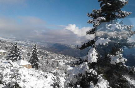 Elatos cozy Studio - Foto 31