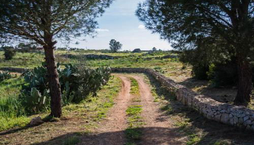 Sicalindeè - Foto 4