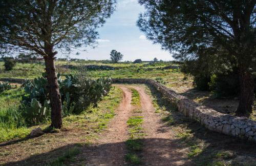 Sicalindeè - Foto 4