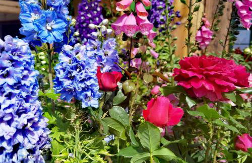 Osada Między Drzewami - Foto 17