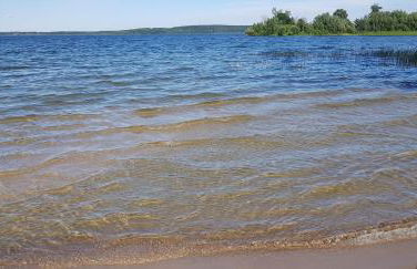 Seeblick (optional mit Boot) - Foto 40