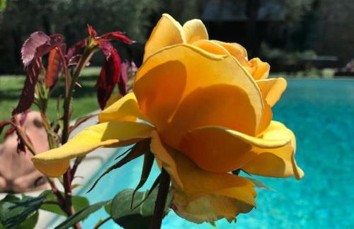 VILLA GIOTTO Florence - Foto 47