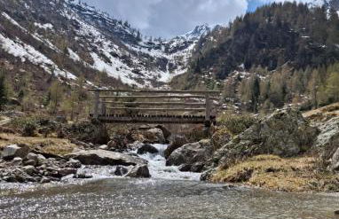 Elegance Mountain Edolo Ponte di Legno - Foto 19