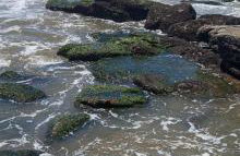 Casa bem te vi - Foto 67