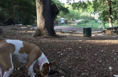 Steps to Downtown- Cozy studio - Quiet neighborhood - Foto 24