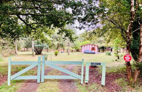 Maison en forêt, calme, proche village et piste cyclable - meublé 3 étoiles - Foto 32