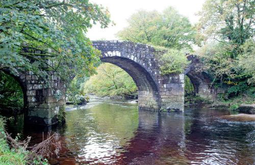 Little Meadow - Foto 22