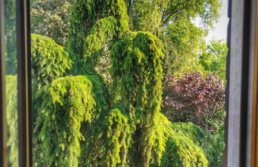 Casa Agnese Verona appartamento parcheggio in struttura - Foto 9