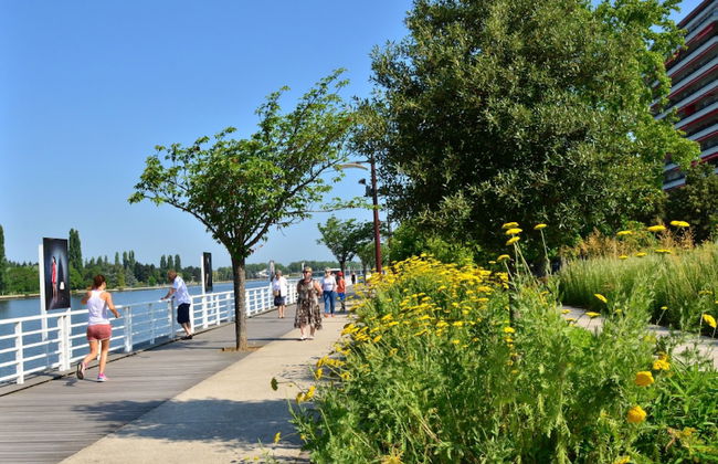 Les Sources Vichy - Foto 56