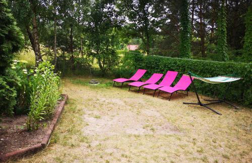 domki domek na jeziorem Wilczyńskim Budzisławskim , las, osobno ogrodzony 2-6 osób- klimatyzacja, ogrzewanie, 62-550 Zygmuntowo gm Wilczyn - Foto 33