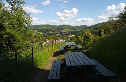 tiny house Pfalz Wellness und Wanderurlaub - Foto 36