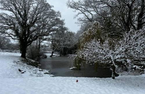 Charming picturesque cottage - nr Tenterden & Rye, pets welcomed - Foto 23