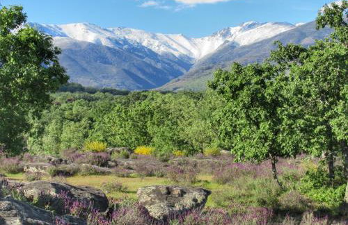 Apartamentos Rurales Entre Fuentes - Foto 38