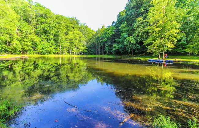 Alpine Crest Resort - Photo 23