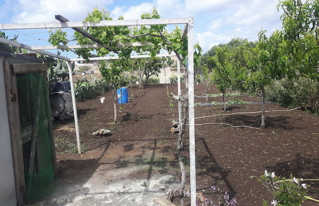 Villa Porto fossa - Foto 3