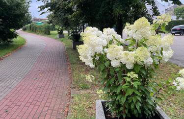 Domek nad Zalewem - Foto 35