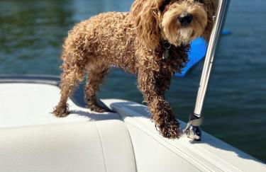 Liberty Loft - Photo 22