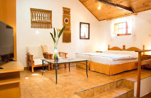 Finca Patio Canario - Foto 16