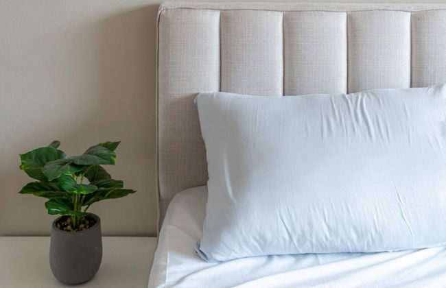 Star Regency by Plush - Photo 31