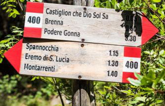 Tenuta di Spannocchia - Foto 40