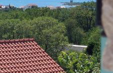 Martin house - Foto 9