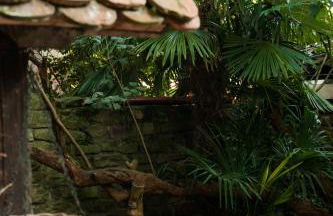 1463 Apartmenthaus - Foto 27