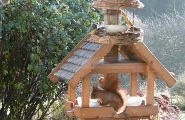 Land des Friedens in Nettersheim / Eifel - Photo 23