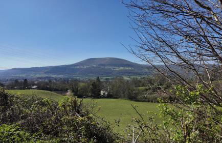 1 Bed in Bryn-y-Gwenin oc-c34139 - Foto 40