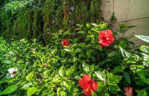 Apt 322 Heaven Beach Apartments, Guadalmansa Playa - Photo 39