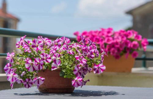 Villa Barbara-Kastela with heated pool - Foto 50