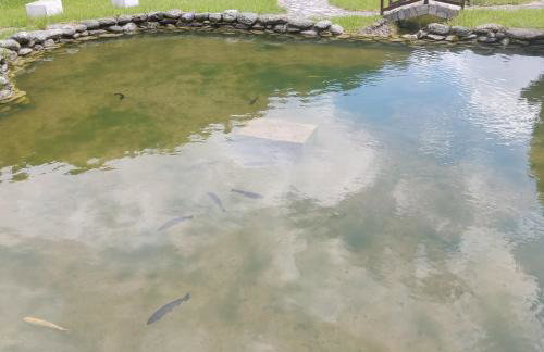 ECO VILLA OLYMPUS with sauna and swimming pool - Foto 40