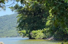 Peri kit house temporada - Foto 10