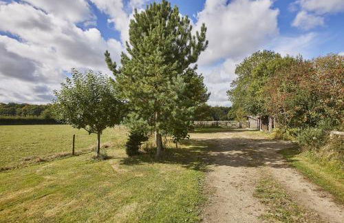 Crossing Cottage - Foto 34