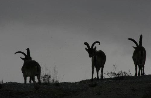 "Le Desman" Confortable T2 à la montagne face aux thermes RANDO, CURE - Foto 22