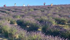 La casina delle bimbe - Foto 2